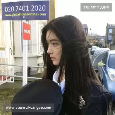 窦耿禹